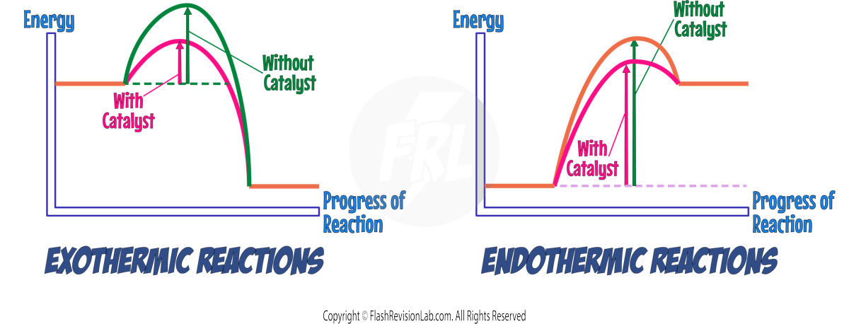 Reaction Profiles